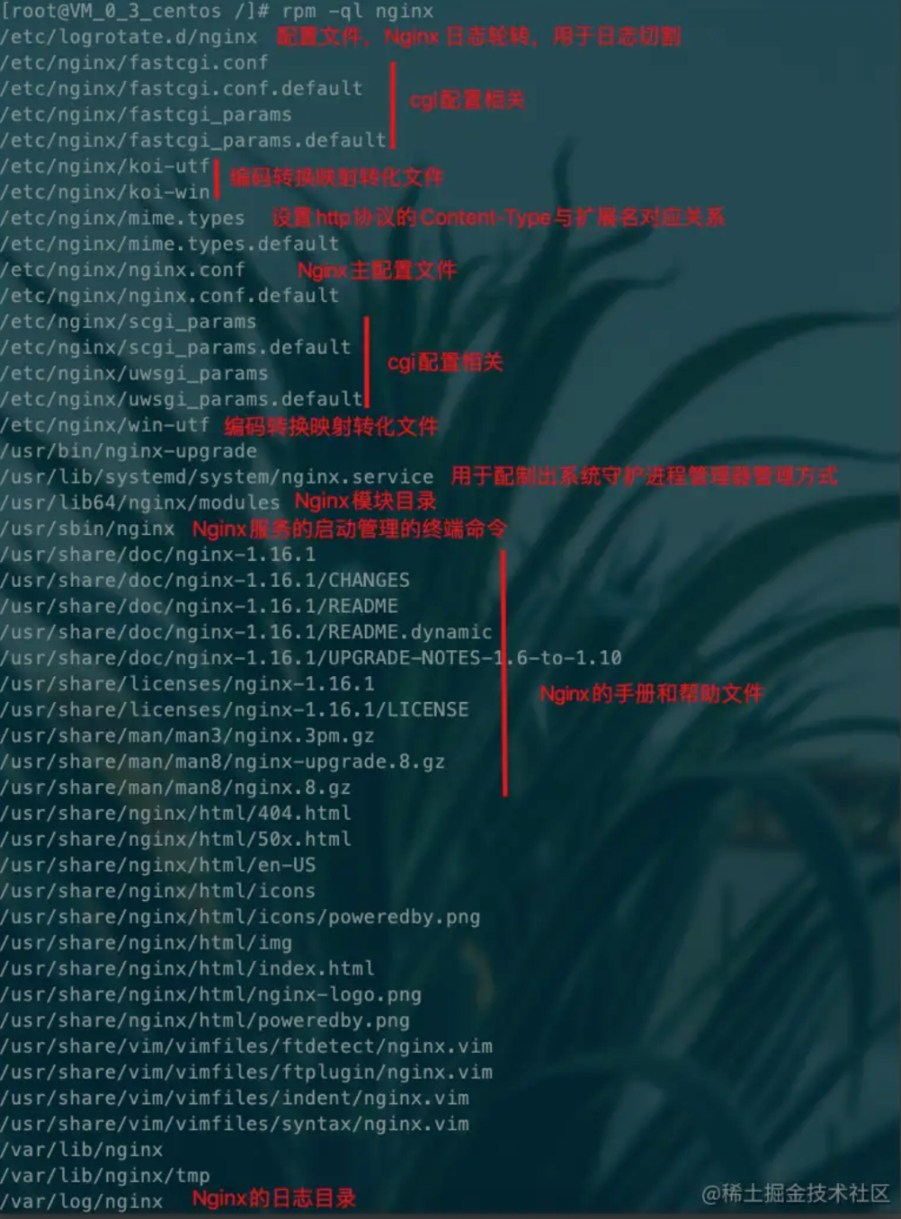 image-20220805202448958