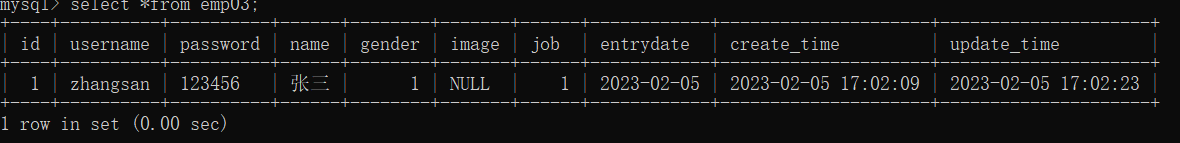 image-20230205170320136