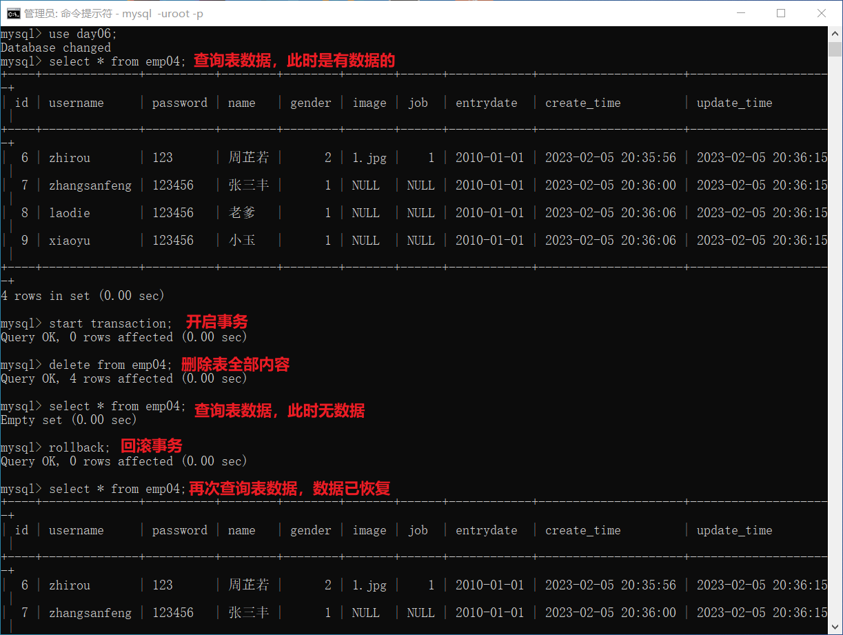 image-20230205205438585