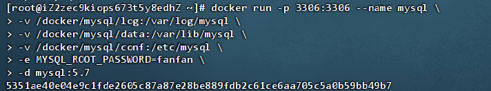 image-20240627225413237